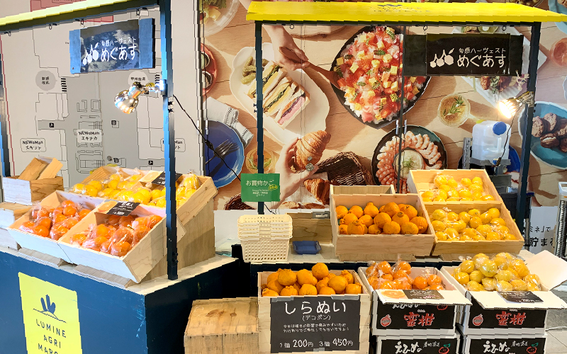 マルシェへの出店